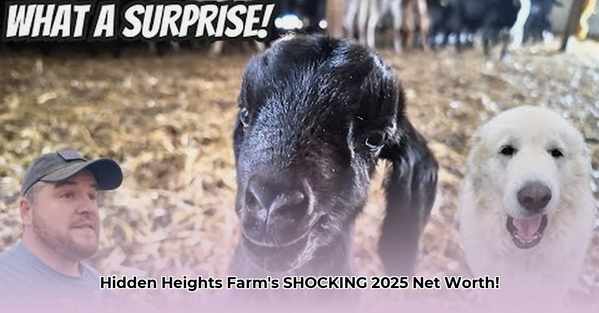 hidden-heights-farm-net-worth